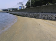 香椎浜地区